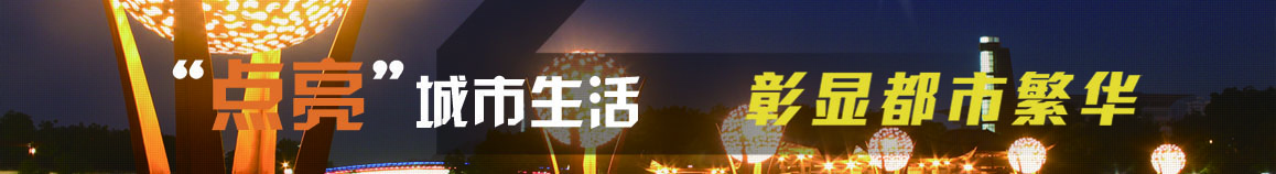 中国景观照明专业委员会